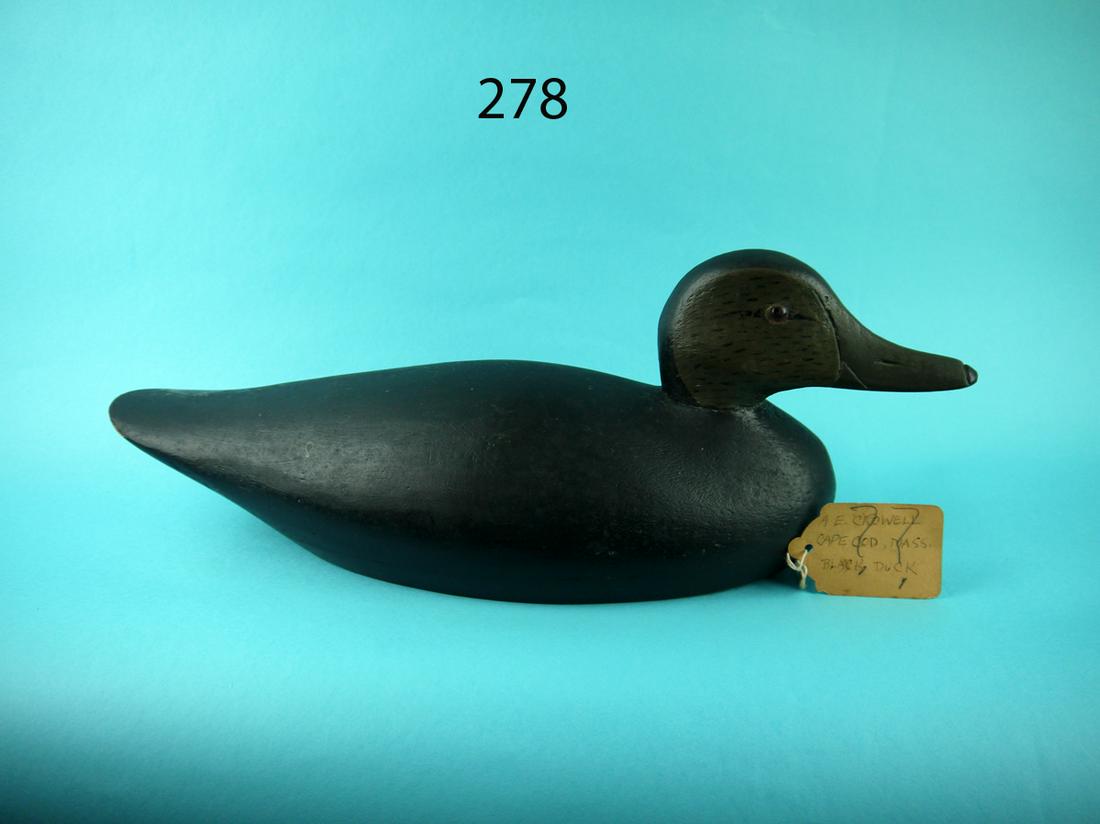BLACK DUCK, A.E. CROWELL (1 of 4)