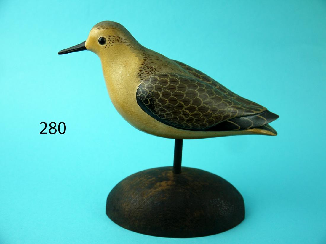 SANDPIPER, GEORGE R. STARR, JR., MD. COLLECTION (1 of 5)