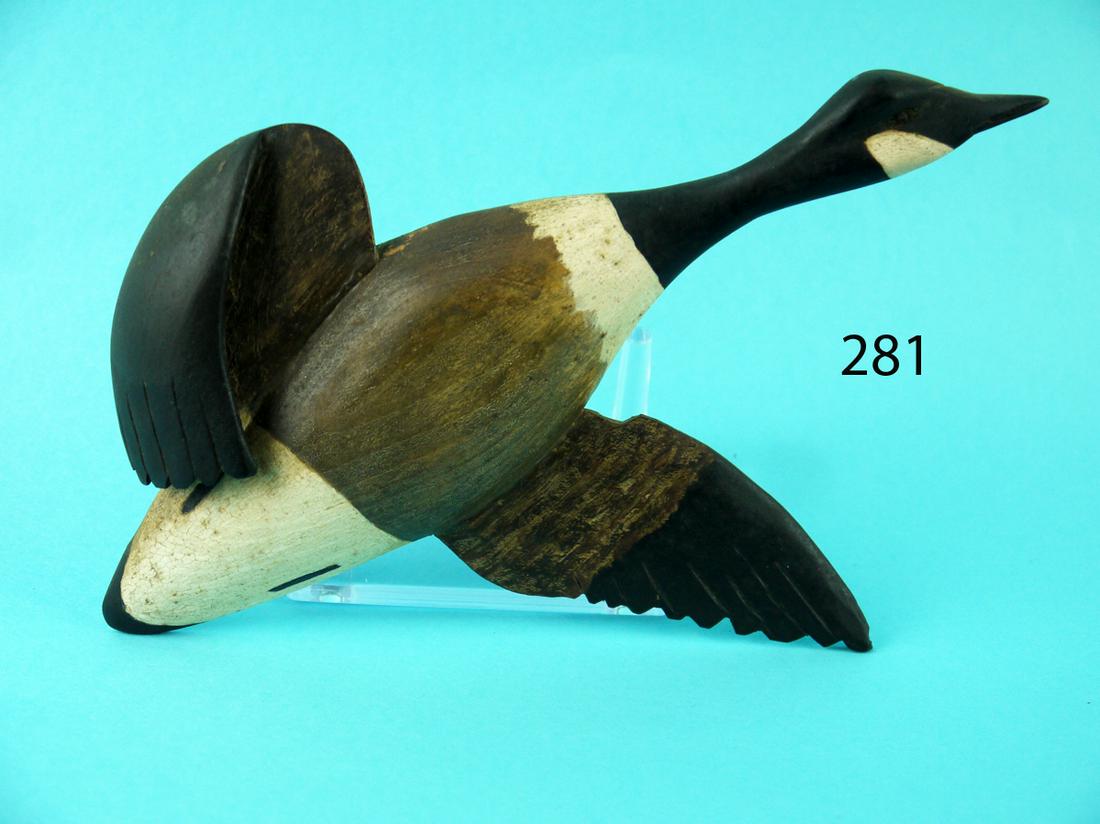 MINIATURE CANADA GOOSE IN FLIGHT, NEW ENGLAND (1 of 2)