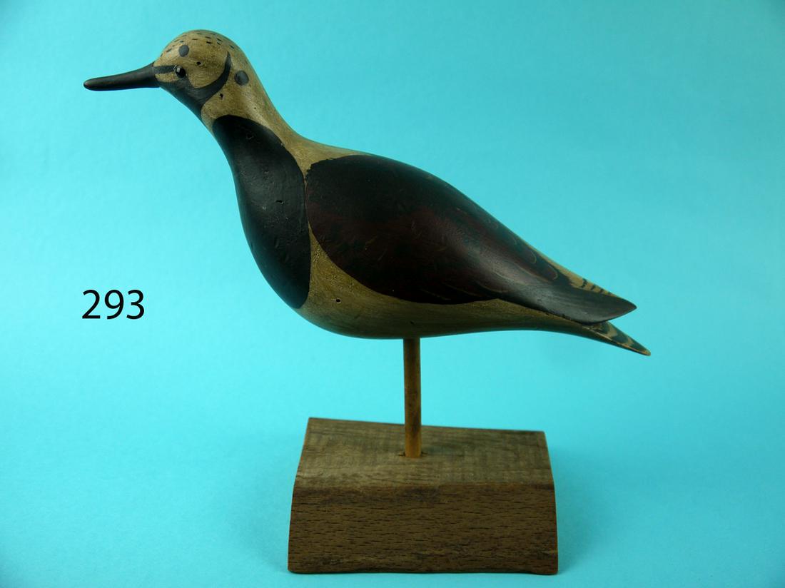 RUDDY TURNSTONE, B. WHITE (1 of 4)