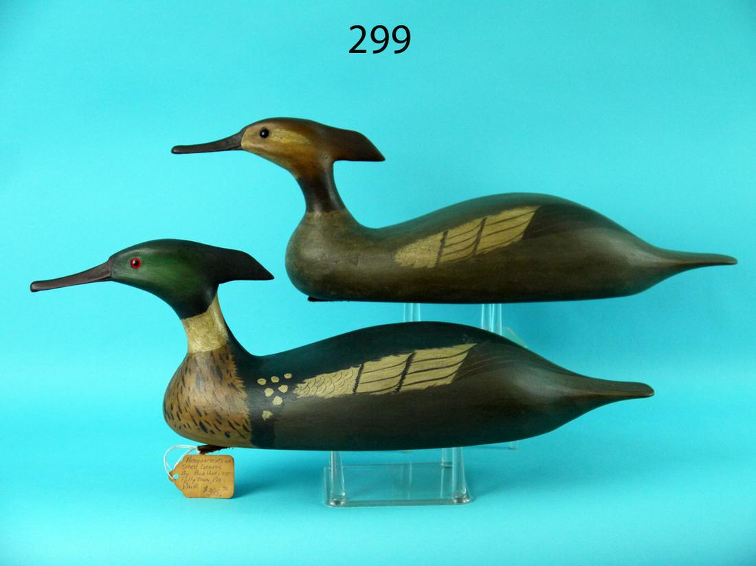 RED-BREASTED MERGANSER PAIR, B. WHITE (1 of 4)