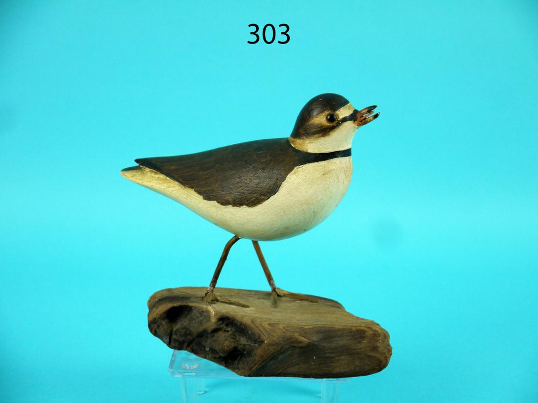 CALLING PIPING PLOVER, L. JOHNSON (1 of 4)