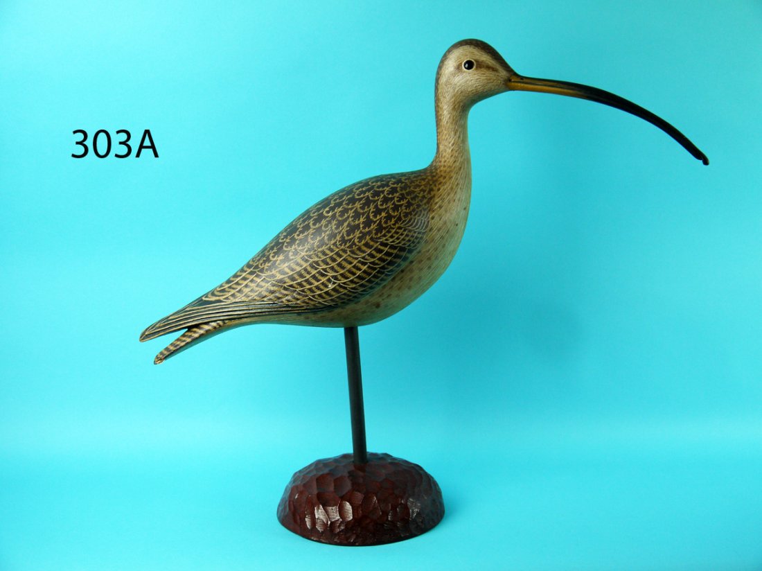 LONG-BILLED CURLEW, J. MCLOUGHLIN (1 of 5)