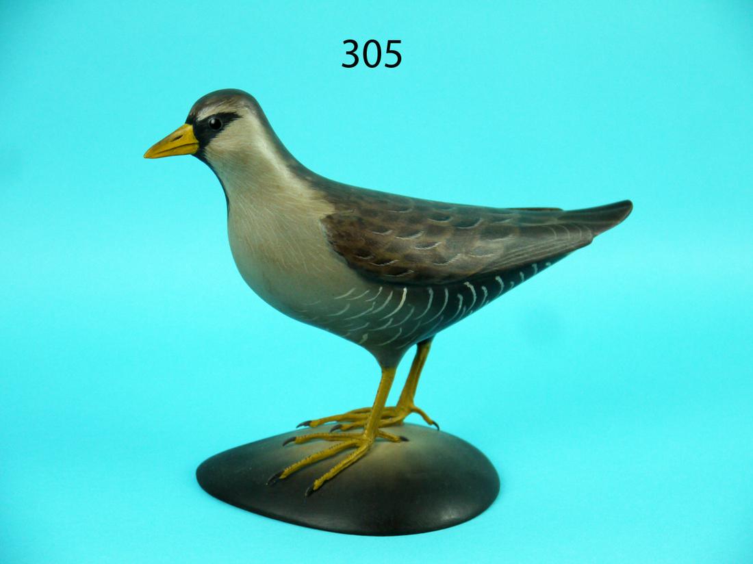 SORA RAIL, G.STRUNK (1 of 4)