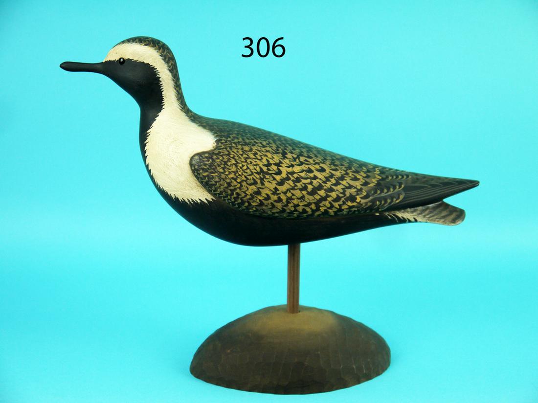 BLACK-BELLIED PLOVER, G. STRUNK (1 of 4)