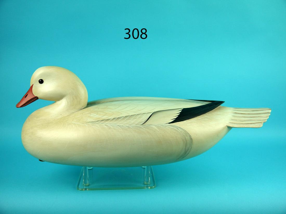 SNOW GOOSE, G. STRUNK (1 of 4)