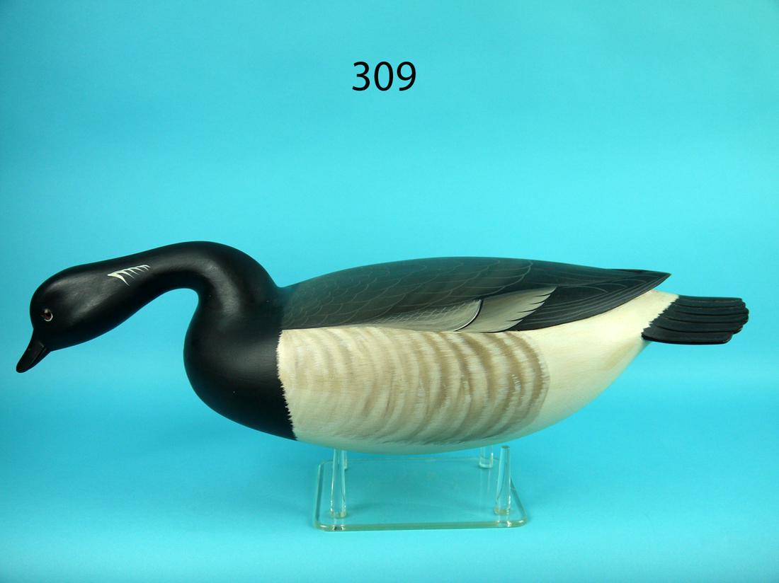 SWIMMING BRANT, G. STRUNK (1 of 4)