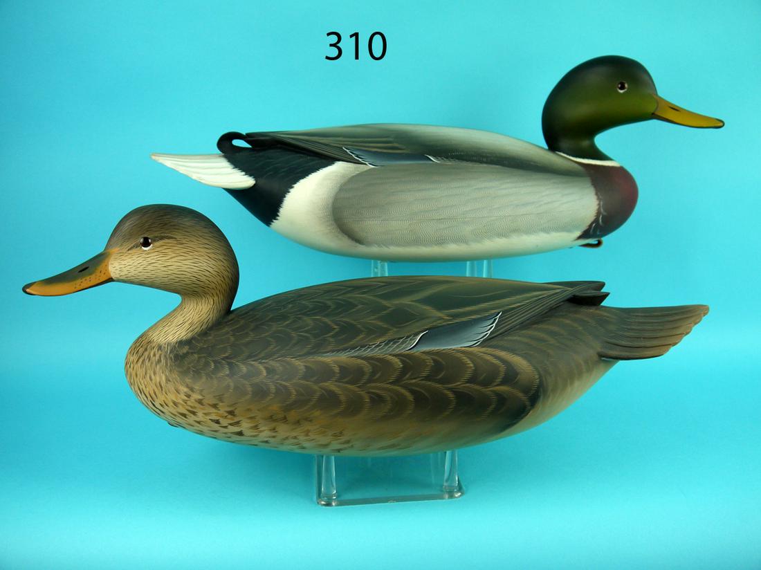 MALLARD PAIR, G. STRUNK (1 of 4)