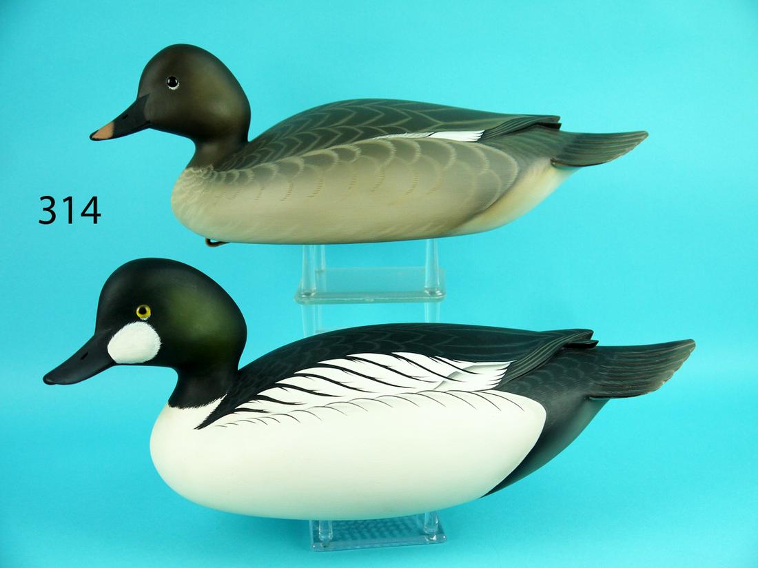 GOLDENEYE PAIR, G. STRUNK (1 of 4)
