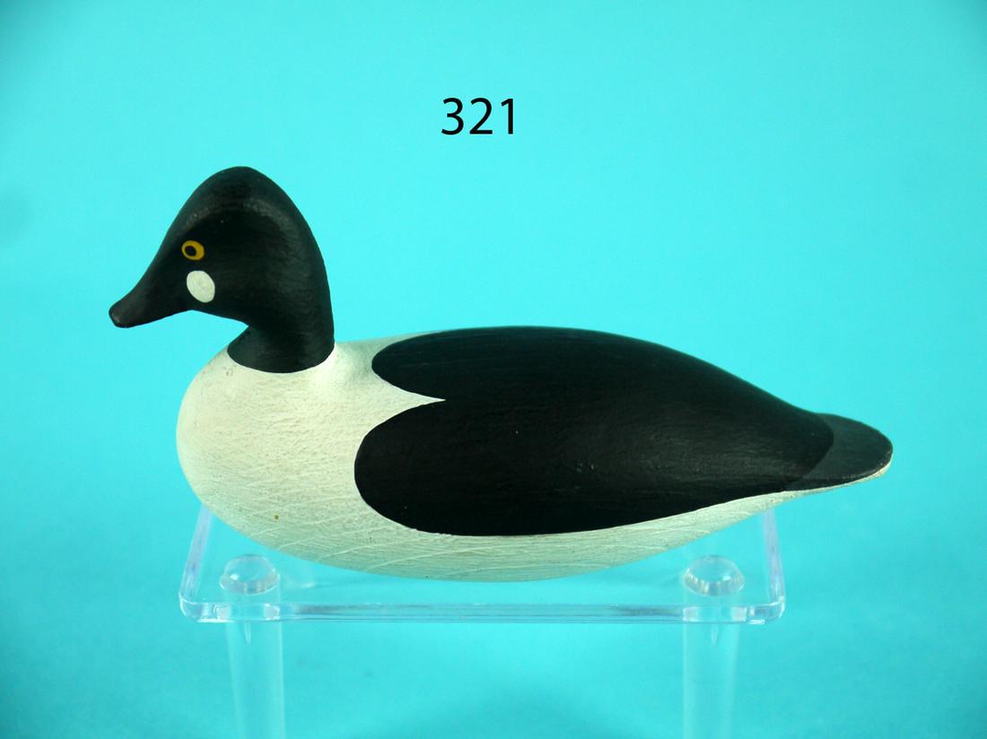 MINIATURE GOLDENEYE DRAKE, G. STRUNK (1 of 4)