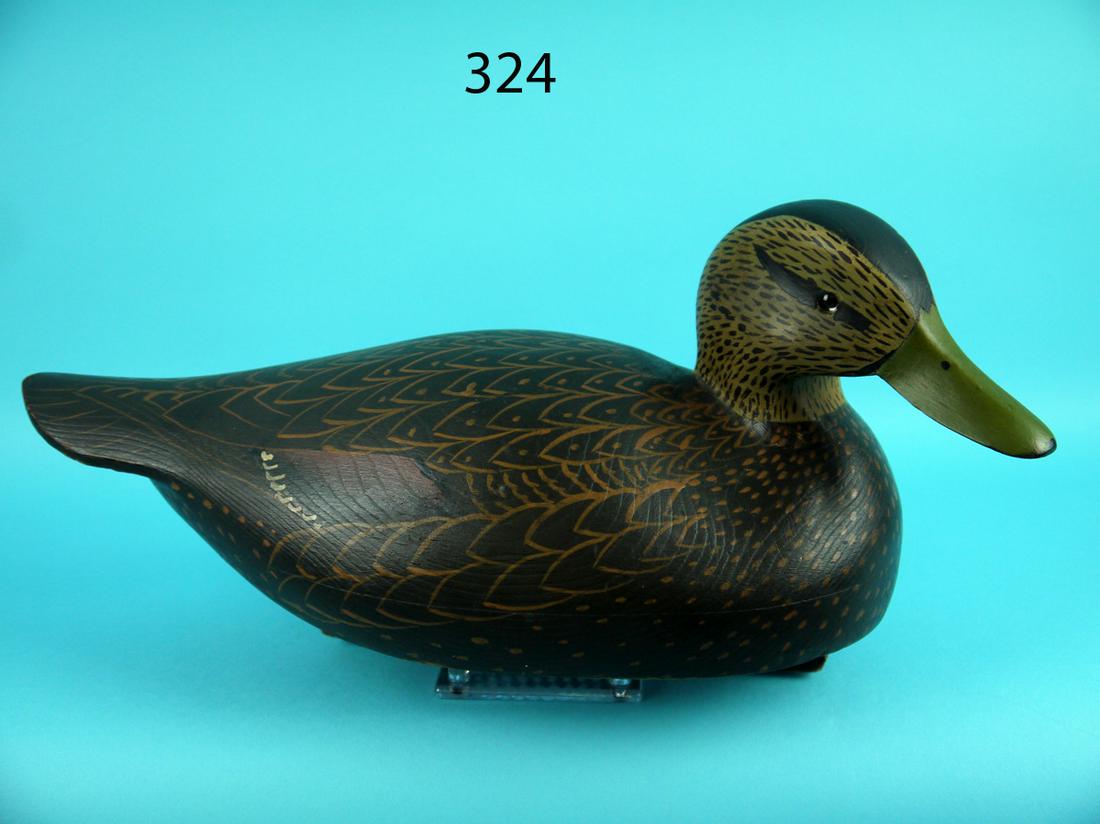 BLACK DUCK, W. CRANMER (1 of 4)