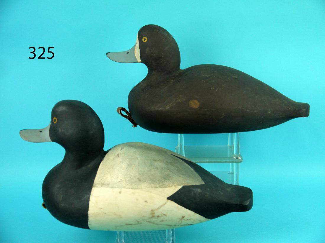 BLUEBILL PAIR, W. CRANMER (1 of 4)