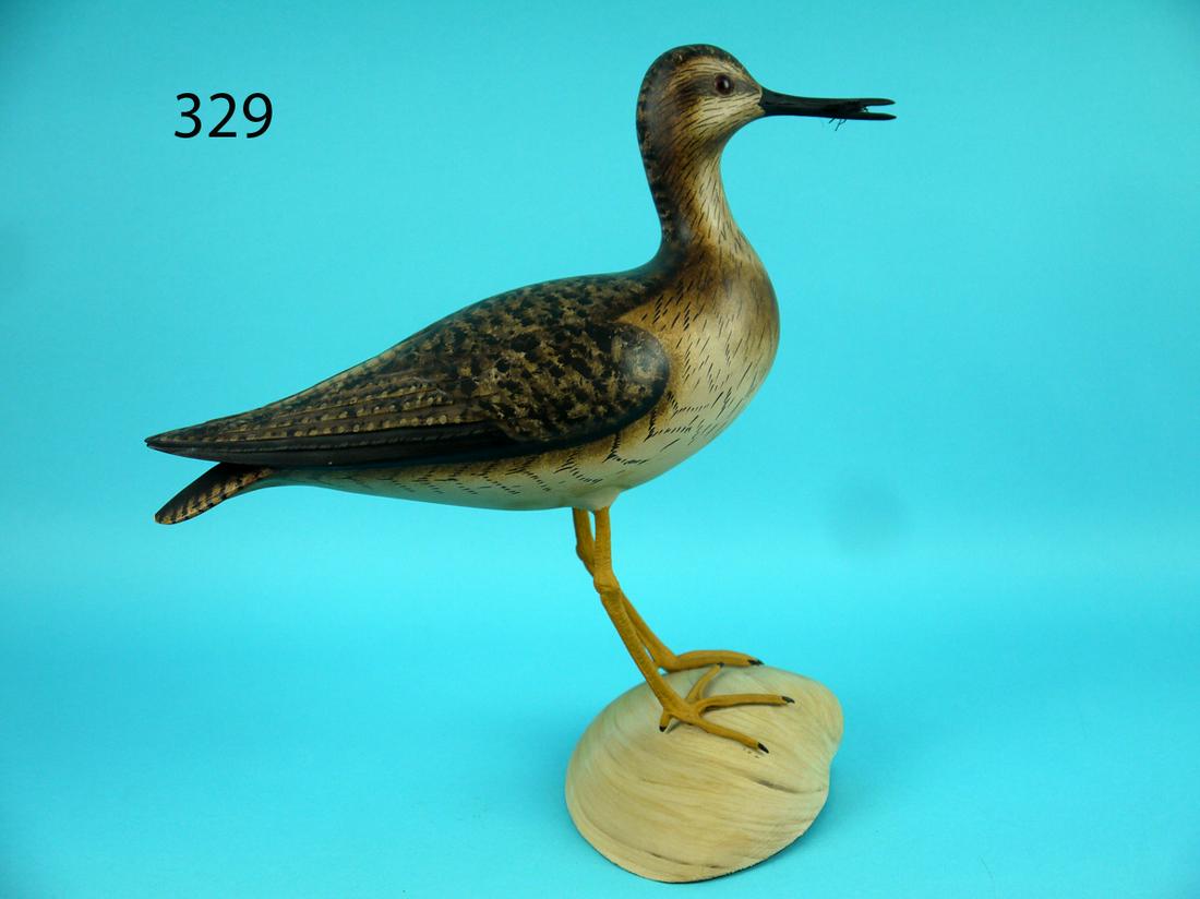 YELLOWLEG, G. COOKE (1 of 4)