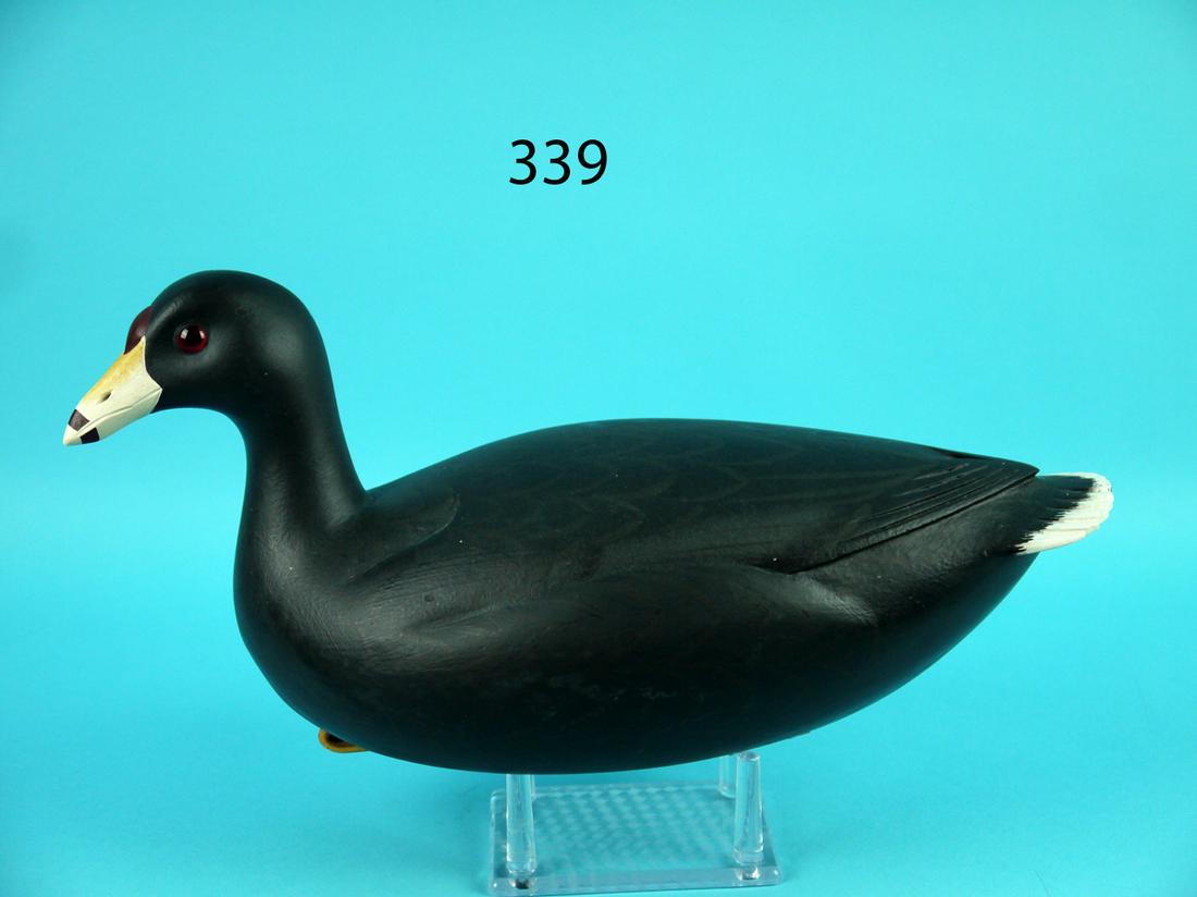 COOT, F.C. BROWN, JR. (1 of 4)