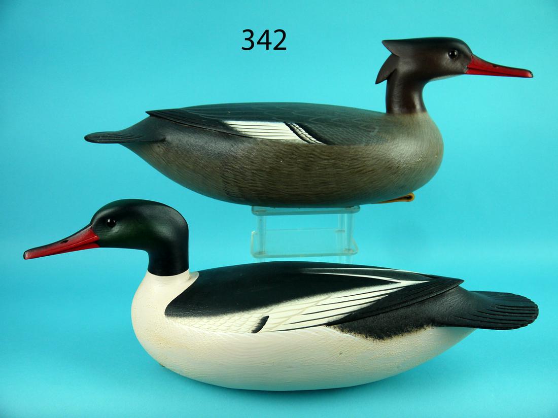 AMERICAN MERGANSER PAIR, F.C. BROWN, JR. (1 of 4)