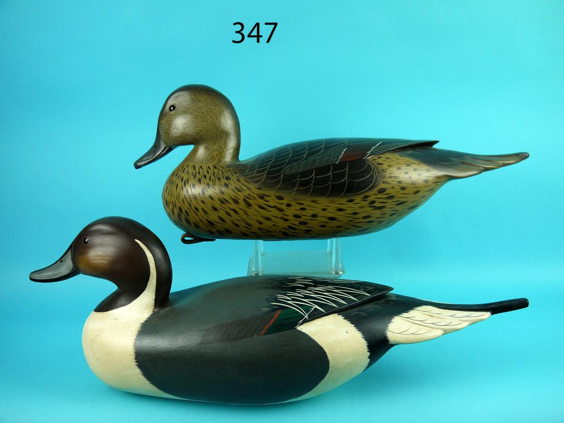 PINTAIL PAIR, C. FENNIMORE (1 of 4)