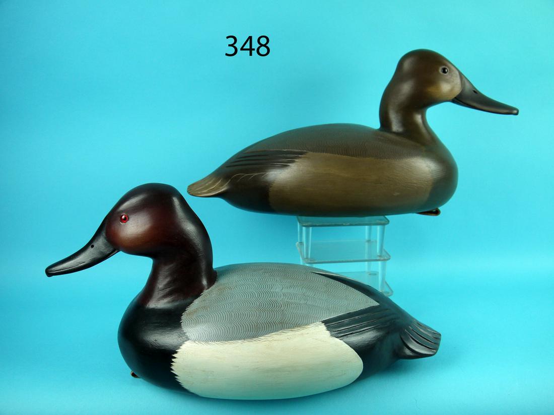 CANVASBACK PAIR, C. FENNIMORE (1 of 4)