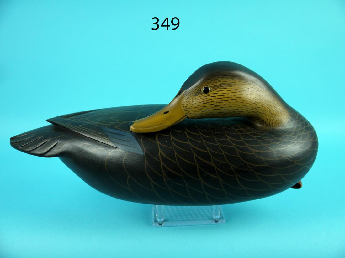 BLACK DUCK, C. FENNIMORE (1 of 4)