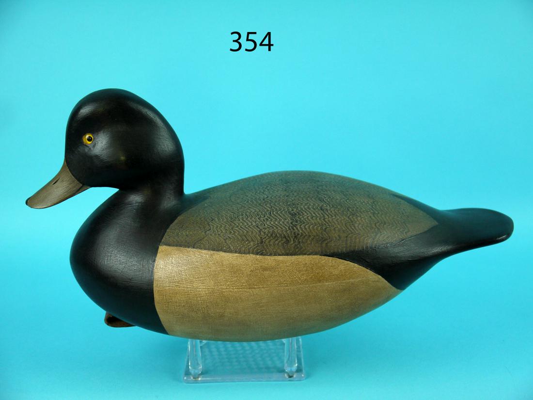 BLUEBILL DRAKE, S. MOREY (1 of 4)