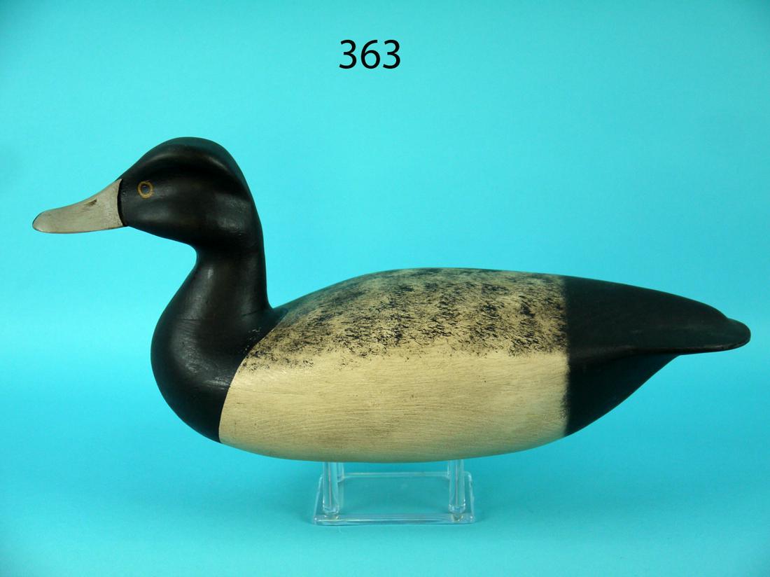 BLUEBILL DRAKE, C. ALLSOPP (1 of 4)