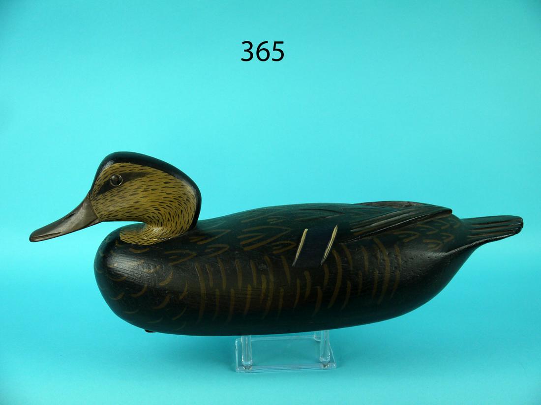 BLACK DUCK, R. ALLEN (1 of 4)