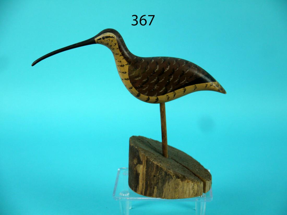 MINIATURE LONG-BILLED CURLEW, R. ALLEN (1 of 3)