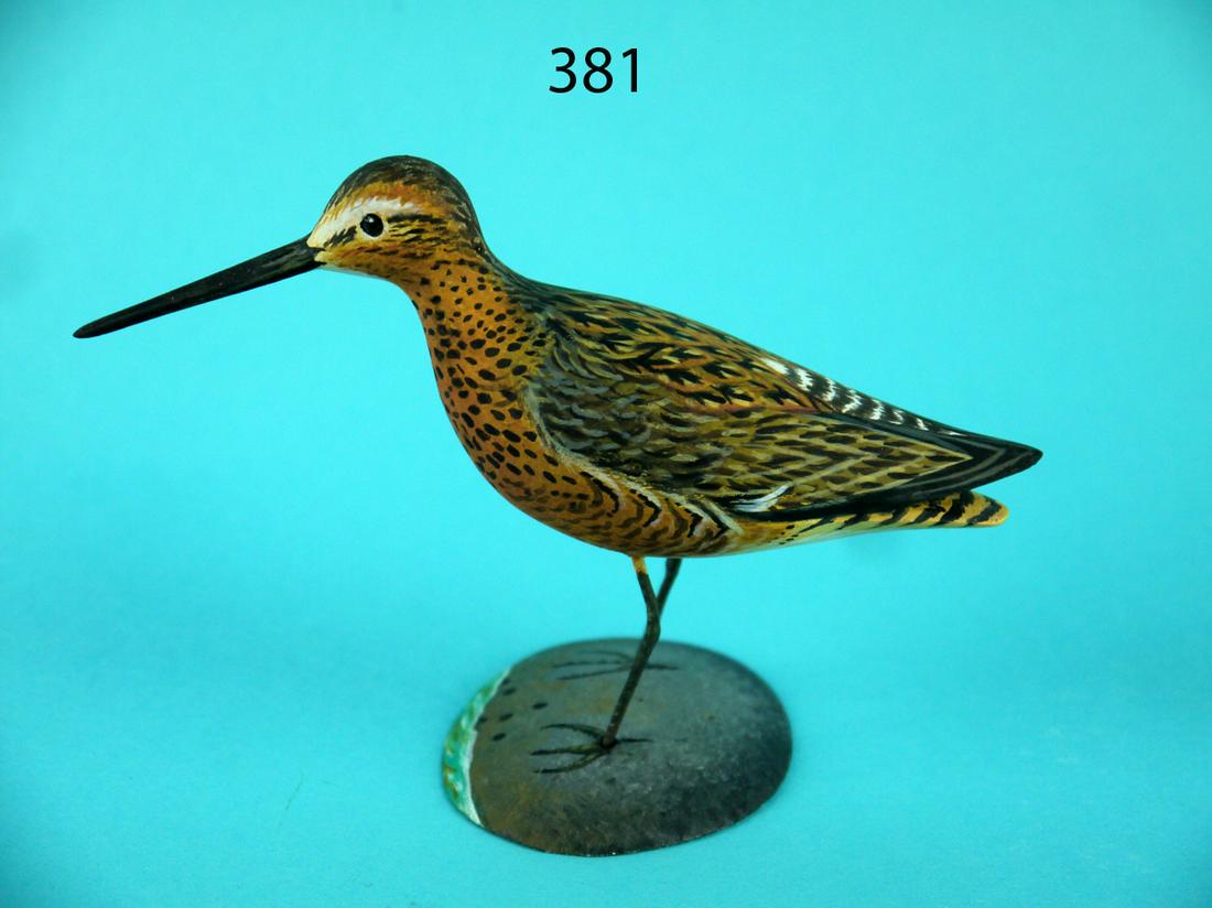 MINIATURE DOWITCHER, A. HILLMAN (1 of 3)