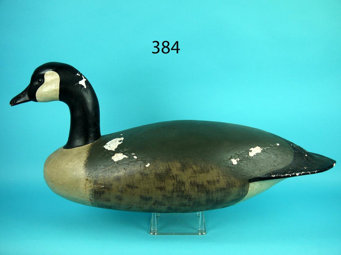 CANADA GOOSE, J. HOLLOWAY (1 of 4)