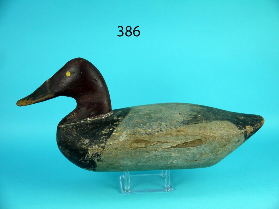 CANVASBACK DRAKE, J. CURRIER ATTRIB. (1 of 4)
