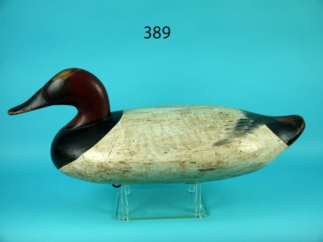 OVERSIZED CANVASBACK DRAKE, UPPER BAY (1 of 4)