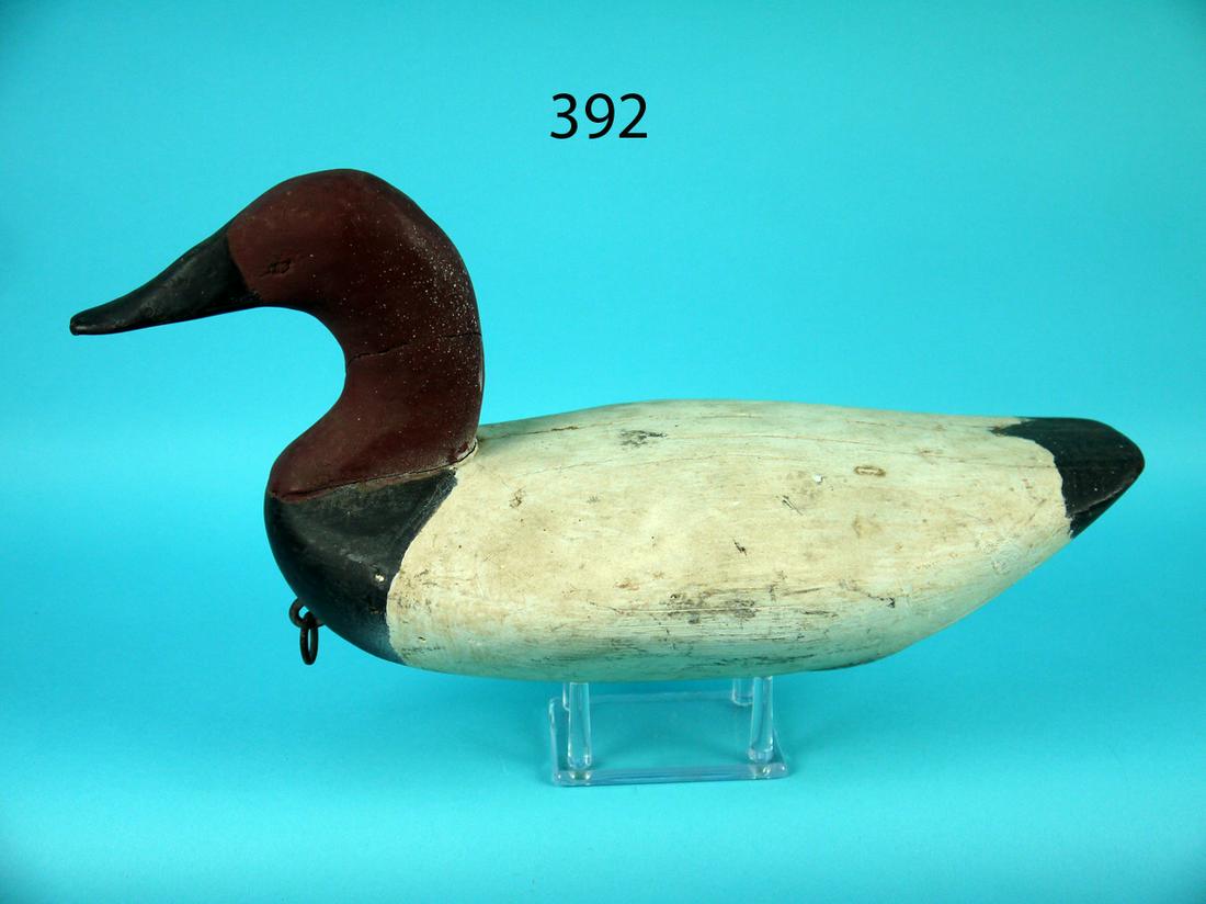 CANVASBACK DRAKE, L. FLETCHER ATTRIB. (1 of 4)