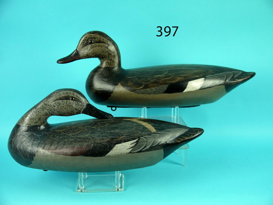 GADWALL PAIR, ILLINOIS RIVER (1 of 4)