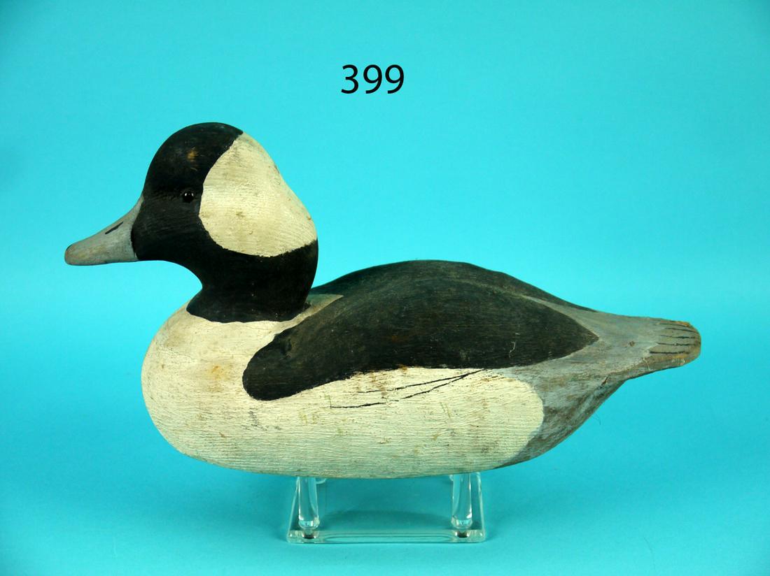BUFFLEHEAD DRAKE, M. VAN NOTE (1 of 4)