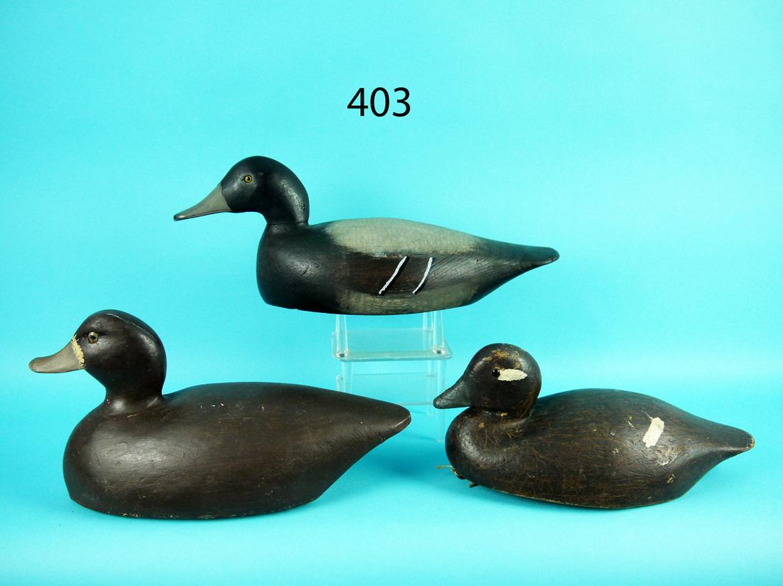 BUFFLEHEAD/ BROADBILL DRAKE AND HEN (1 of 4)