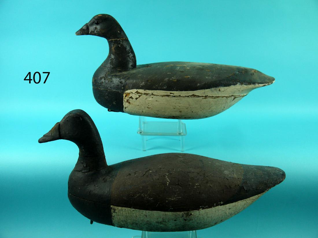 TWO VERY EARLY BRANT, NEW JERSEY (1 of 4)