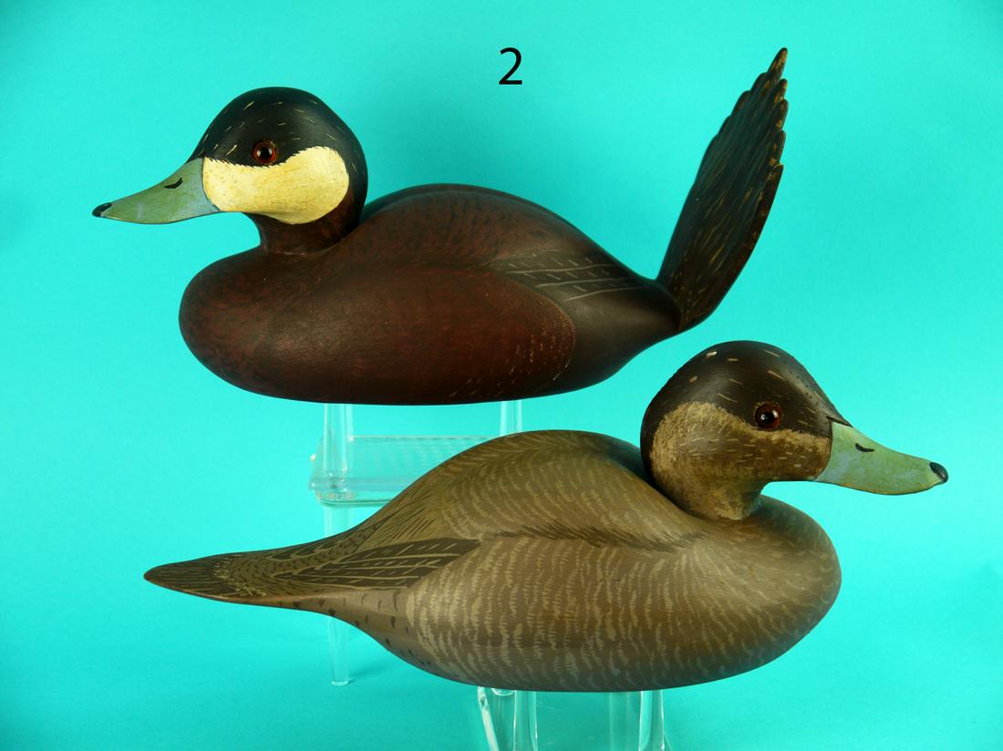 RUDDY DUCK PAIR, WILDFOWLER (1 of 4)