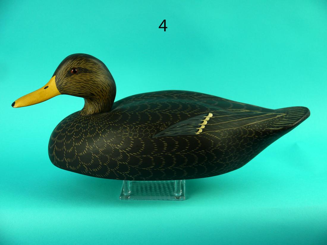 BLACK DUCK, WILDFOWLER (1 of 4)
