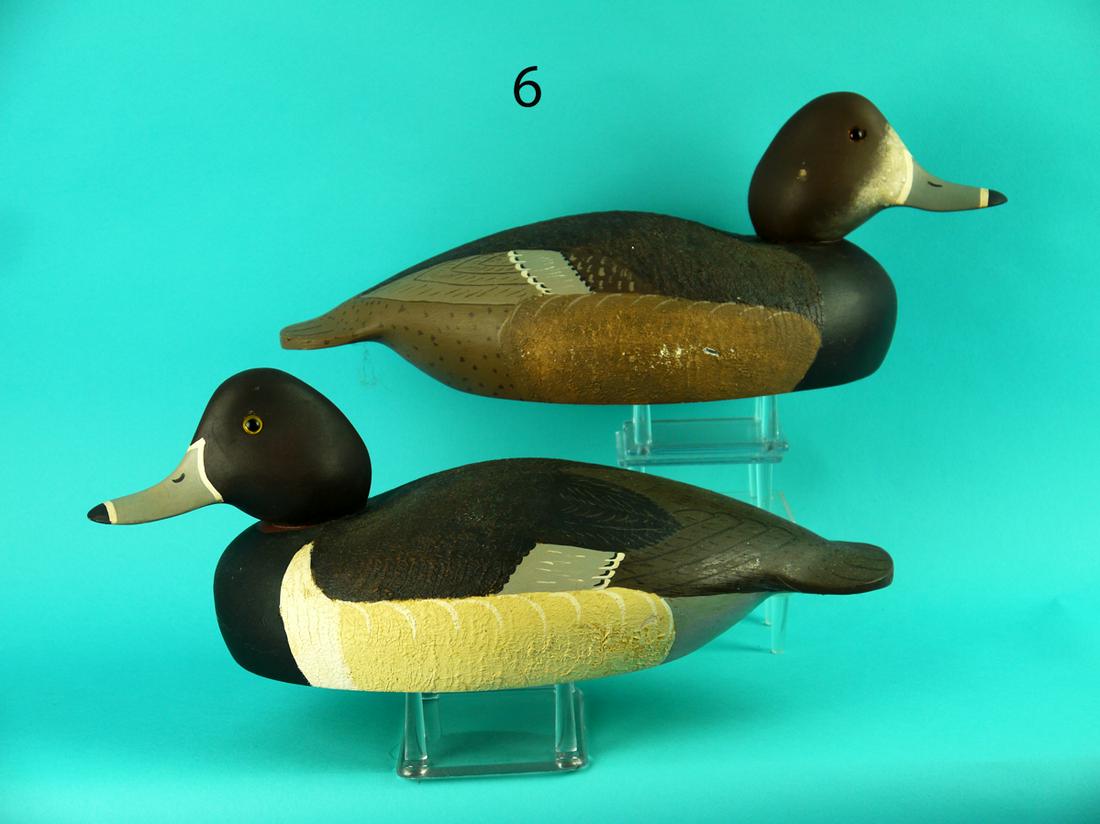 RINGBILL PAIR, WILDFOWLER (1 of 4)