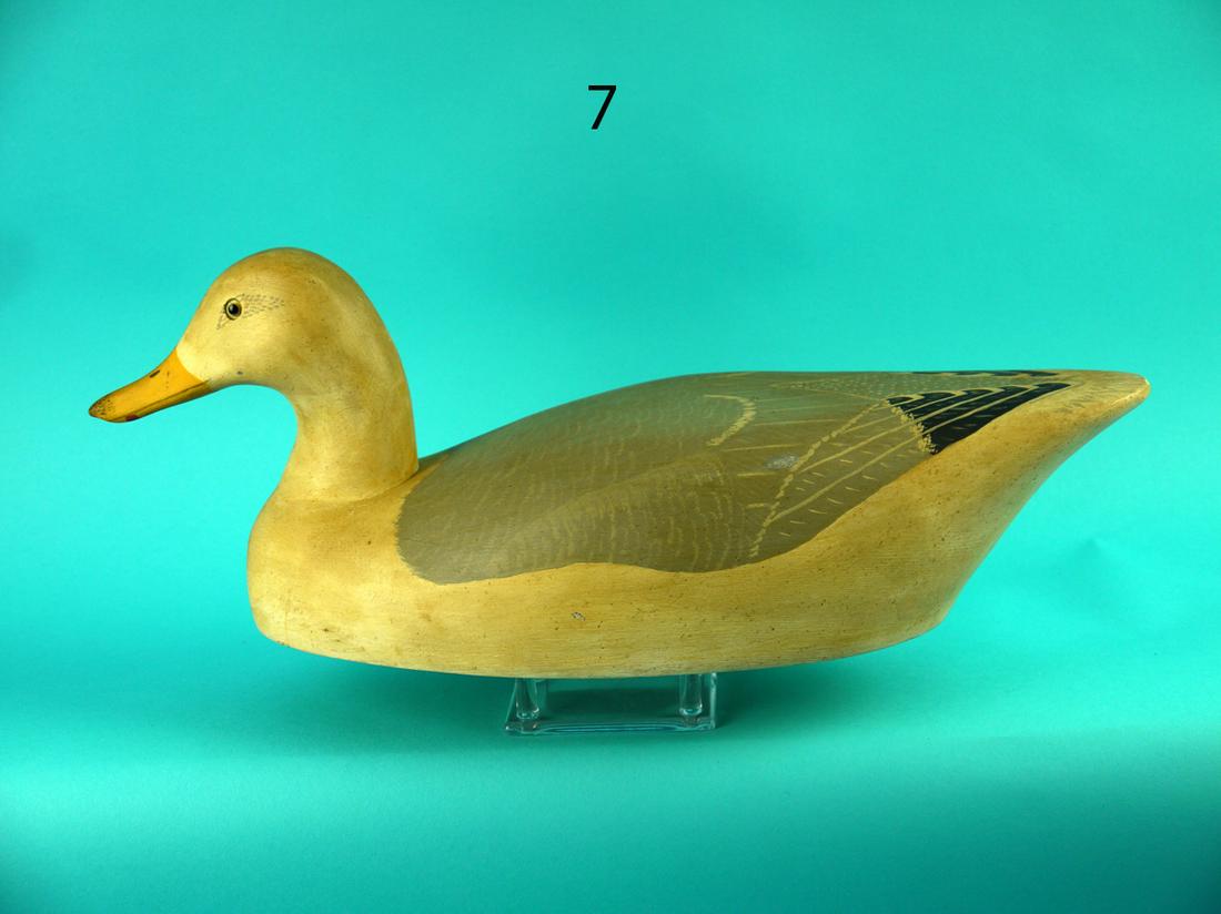 SEA GULL, WILDFOWLER (1 of 4)