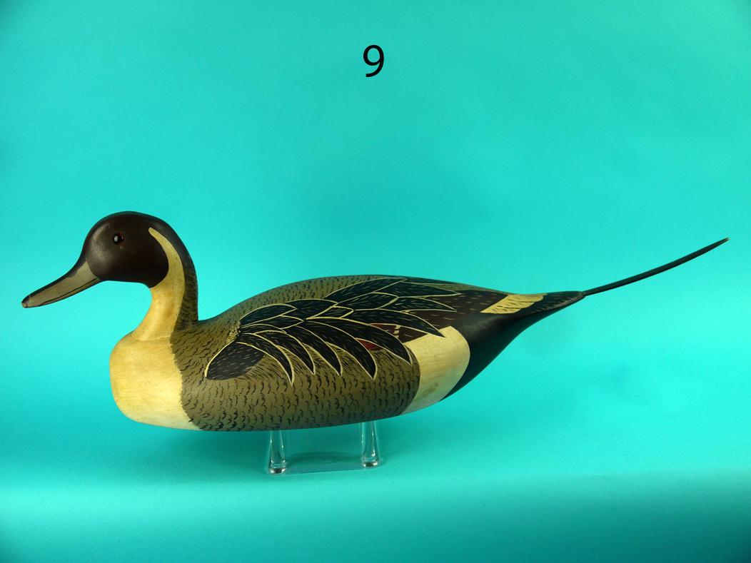 PINTAIL DRAKE, WILDFOWLER (1 of 4)