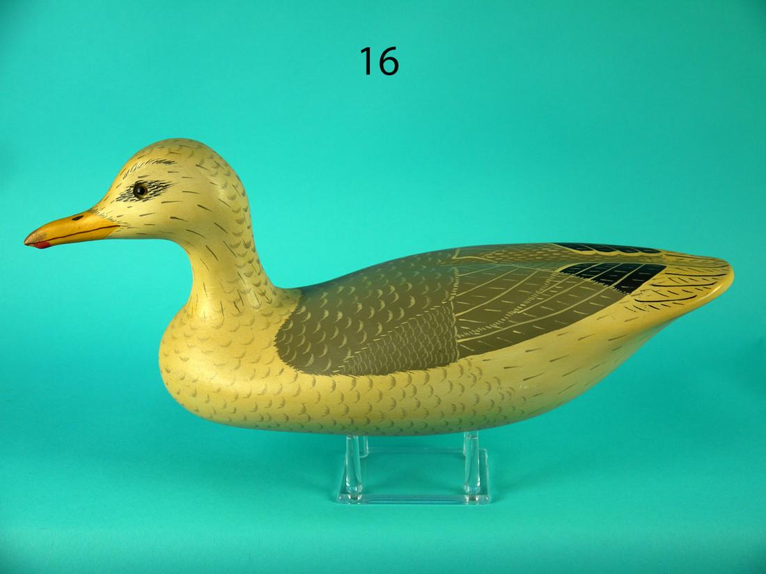 SEAGULL, WILDFOWLER (1 of 4)