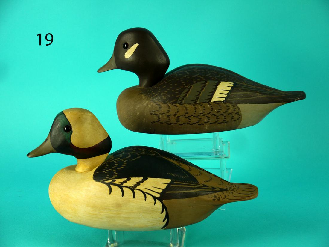 BUFFLEHEAD PAIR, WILDFOWLER (1 of 4)