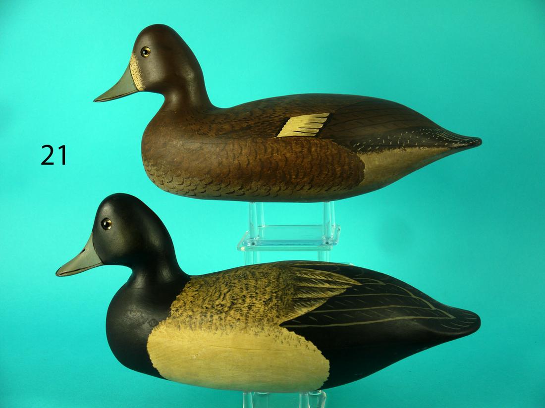 BROADBILL PAIR, WILDFOWLER (1 of 4)