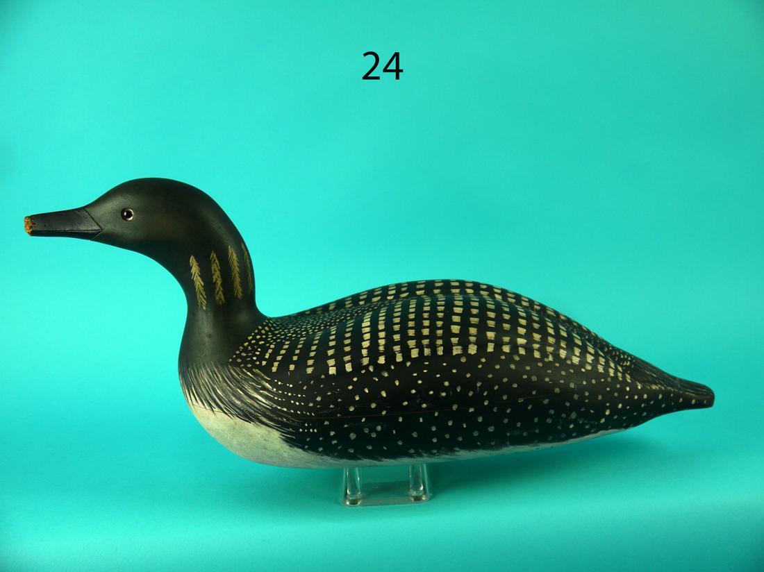 RARE LOON, WILDFOWLER (1 of 4)