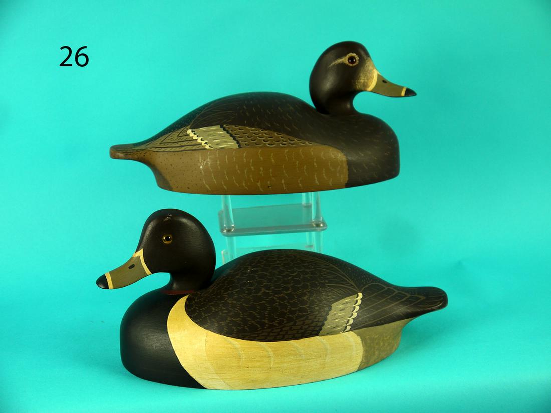 RINGBILL PAIR, WILDFOWLER (1 of 4)