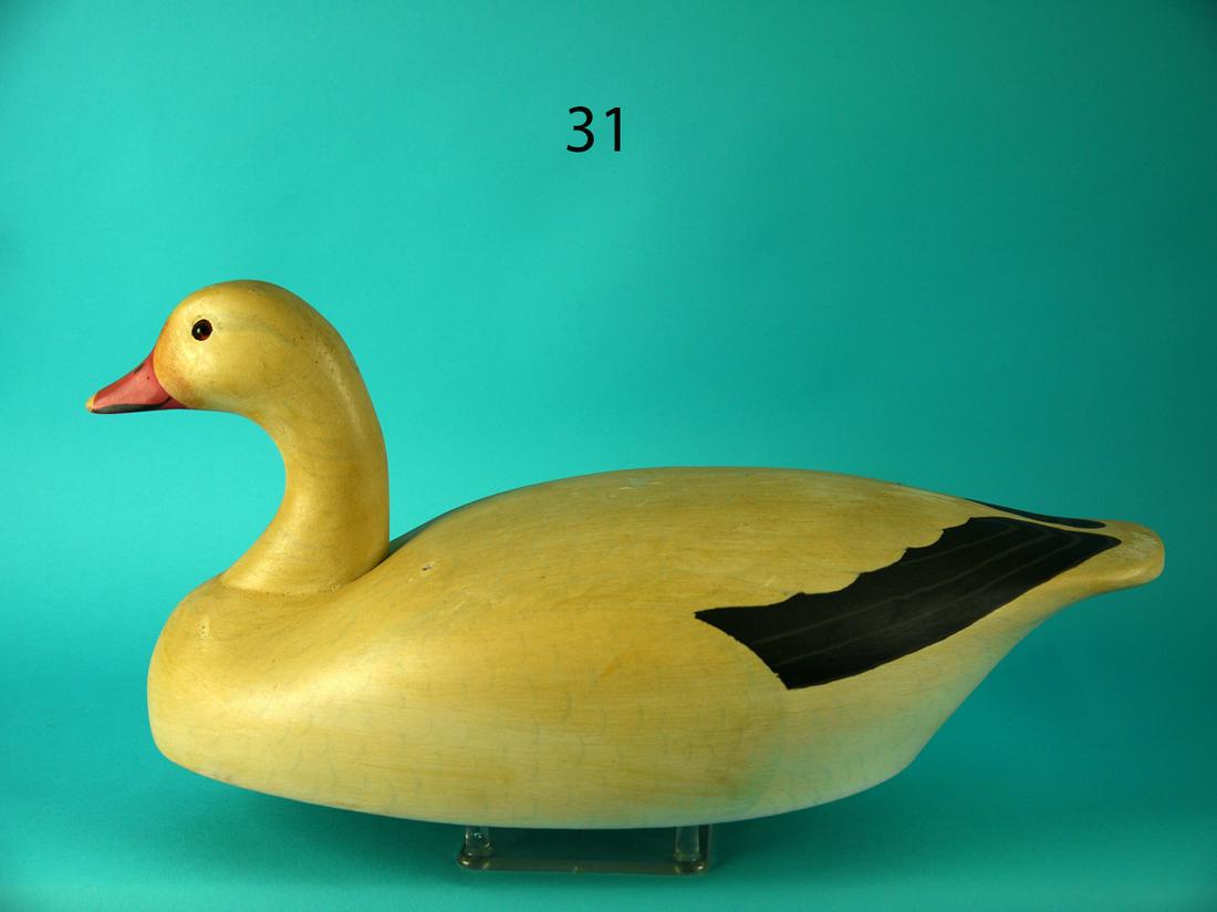 SNOW GOOSE, WILDFOWLER (1 of 4)