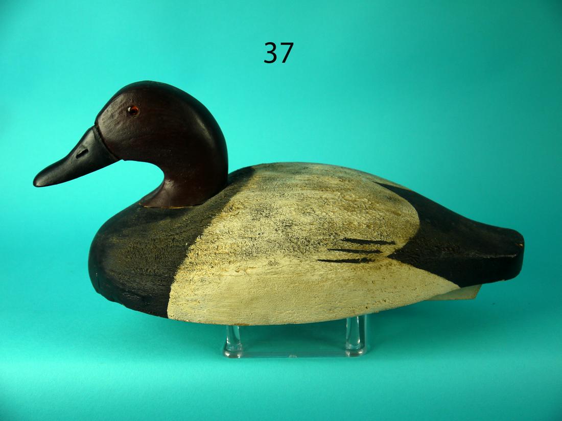 CANVASBACK DRAKE, WILDFOWLER (1 of 4)