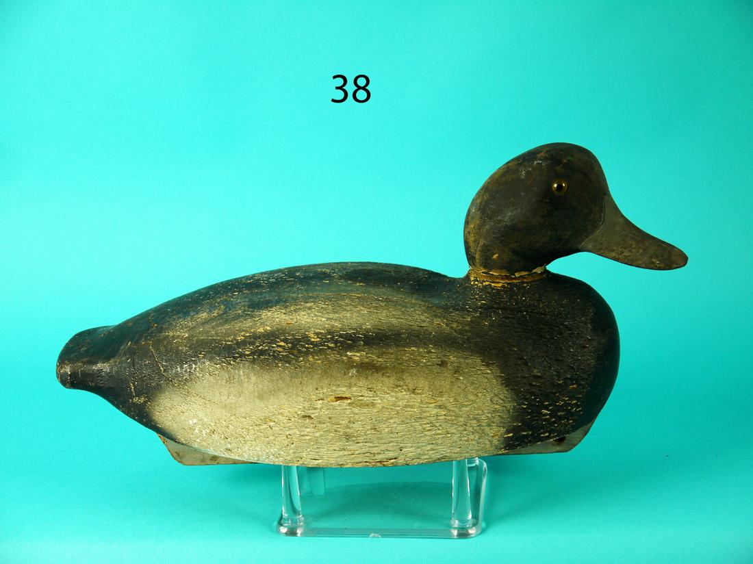 BLUEBILL DRAKE, WILDFOWLER (1 of 4)