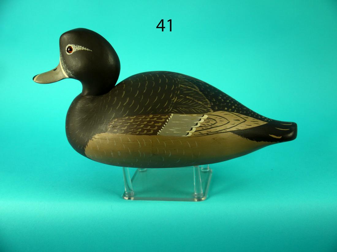 RINGBILL HEN, WILDFOWLER (1 of 4)