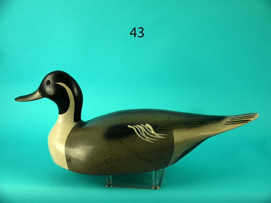 PINTAIL DRAKE, WILDFOWLER (1 of 4)